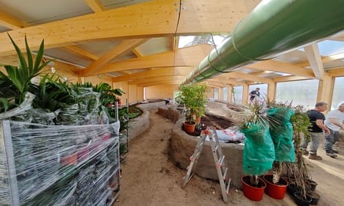 Una foresta tropicale per il Bioparco ZOOM