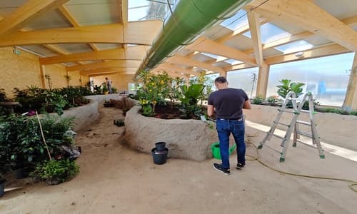 Una foresta tropicale per il Bioparco ZOOM