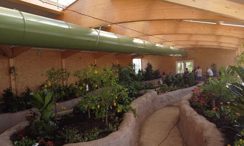 Una foresta tropicale per il Bioparco ZOOM
