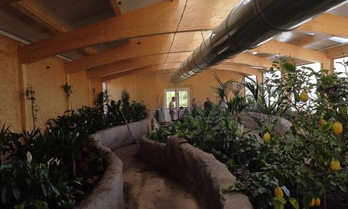 Una foresta tropicale per il Bioparco ZOOM