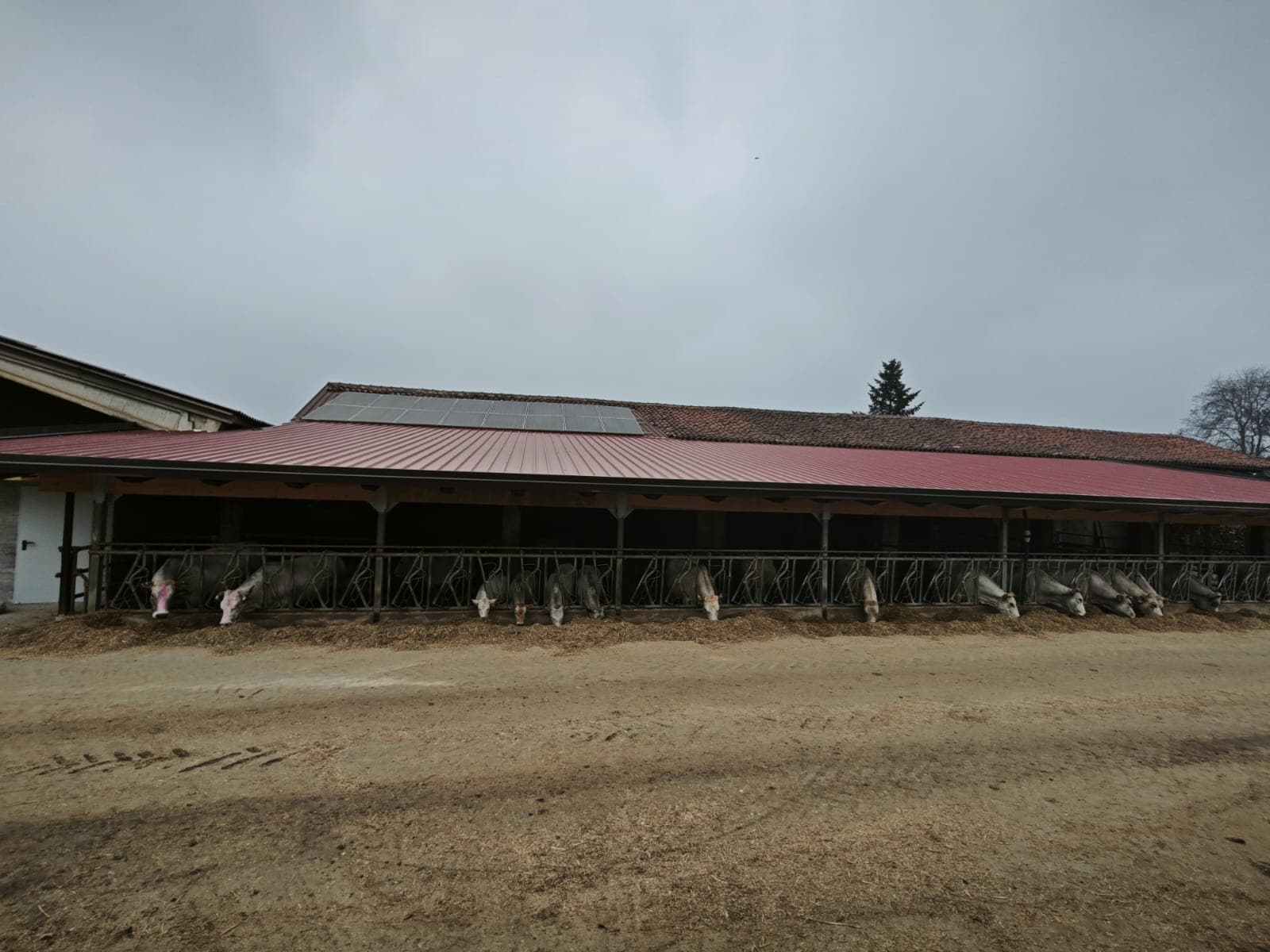 Impianto Fotovoltaico Agrisolare a Macello (TO)