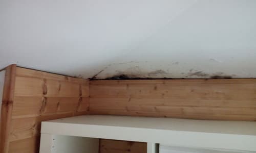 Eliminazione della muffa e miglioramento della qualità dell'aria con Sistemi di Ventilazione