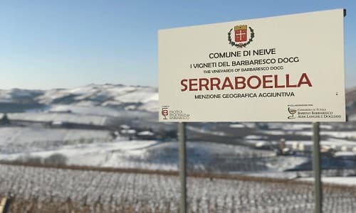 Installazione e integrazione di un Impianto Fotovoltaico sul tetto di un'azienda agricola