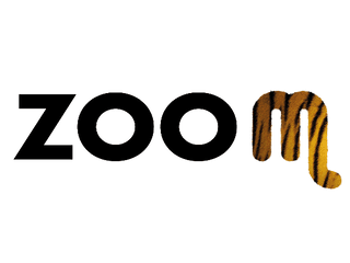 Zoom